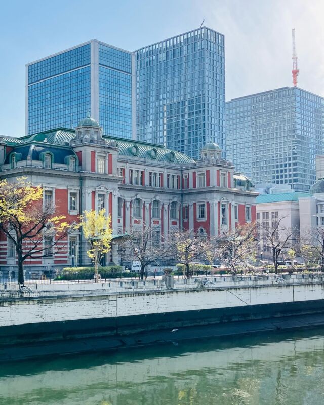 3月31日
⁡
卒業、転勤シーズンでちょっと寂しくなる季節でもあります。
⁡
いつも接待でご利用頂いているお客様が
東京へ戻られるとのこと。
先ほど挨拶にとお電話を頂戴しました。
⁡
いつも接待スタート約30分前に到着され、ズボンの両ポケットに手を突っ込んでひょうひょうとした感じでお店に入られる姿が印象的。
⁡
お食事が終わり、ゲストの方を見送られる後ろ姿を、さらにその後ろから何度も見させて頂いていました。
⁡
ゲストの方のタクシーのお見送りが終わると、
一緒に来られている部下の方と私と3人で、たわいもない話をしながら、店内に戻るルーティンでした。
⁡
プライベートでのご利用ではなかったので、個人的なお話をすることはなかったのですが、お客様との会話から、いつかは東京に戻られる方なんだなぁと思っていました。
⁡
こんなにたくさんのお店がある中で
ピグレコへ来て下さっていただけでも
有難いことなのに、『東京へ戻る』の約1分ほどの短い電話は寂しくもあり、とても嬉しいお電話でした。
⁡
他にも仕事関係で沢山挨拶のお電話されていると思いますし、レストランへの電話はなくても良かったはずで。
⁡
その一本の電話がとても嬉しく、
やっぱりピグレコは良いお客様に恵まれている…と改めて強く思えた本日となりました。

⁡
#感謝  #pgreco  #ピグレコ  #ミシュラン  #michelin  #ゴエミヨ  #gaulmillau  #大阪イタリアン  #大阪レストラン  #西天満レストラン #西天満ディナー  #西天満グルメ #接待で使えるお店 #大阪接待 #ソムリエがいる店 #酒ディプロマのいるお店 

⁡