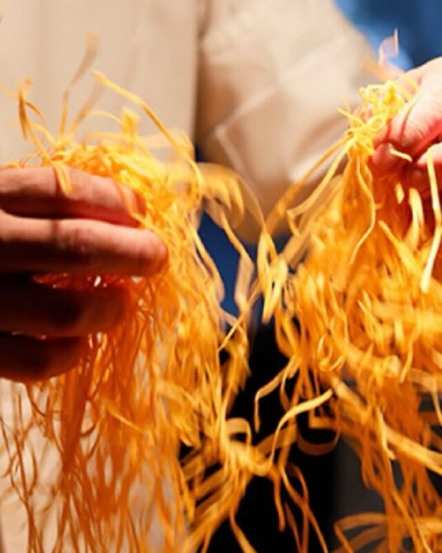 淡路より届く渡り蟹
⁡
⁡
⁡
派手さより深さで勝負。
⁡
⁡
ぜひシェフ福本のパスタをご賞味ください
⁡
⁡
⁡
⁡
#ピグレコ #pgreco #渡り蟹パスタ #福本俊輔の手仕事 #シェフの手仕事 #素材と向き合う #丁寧に仕込む #西天満イタリアン #大阪イタリアン #旬のパスタ #手打ちパスタ #季節のパスタ #パスタ好きな人と繋がりたい #大阪イタリアンディナー #夫婦で営業 #落ち着いた空間 #接待で使えるお店 #接待ディナー #少人数で贅沢 #大阪ディナー #大阪ランチ #コース料理 #少人数で楽しむ #しっとり楽しむレストラン #ミシュラン #Michelin #ゴエミヨ #GaultMillau