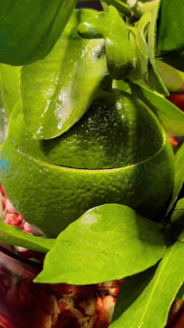 🌿

香り届いてますか🤗

 #季節の香り #冬を知らせる  #青みかん #pgreco #ピグレコ #福本俊輔の手仕事 #大阪イタリアン #西天満ディナー #大阪レストラン #予約制レストラン #コース料理 #ミシュラン #gaultmillau #夫婦で営業 #素材と向き合う #イタリアンコース #梅田ディナー #北浜ディナー #忘年会ディナー #年末ディナー #大晦日ランチ #一年の締めくくり #静かな贅沢 #大人のご褒美時間 #美味しい時間を過ごす #季節を味わう