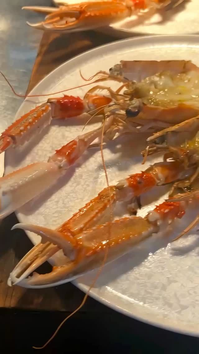 🦐
先日は、奥様のお誕生日のお祝いにと、
ご家族様、貸切にてご利用いただきました

旦那様が事前に当店へ足を運ばれ、
ご相談から始まった今回のお食事会

リクエストは、
シンプルなスカンピのお料理でした

話の流れで、
リクエストの理由やエピソードも聞かせていただき、旦那様の携帯には、私たちに伝えるための付箋メモがペタペタ…☺️

当日は、
「リクエストしたって黙っといてな」とおっしゃっていましたが…

お料理をお出しした瞬間、

「リクエストしましたー🤙✨」と😂

絶対言うやろうなって思っていましたが、
やっぱり黙ってられなかった旦那様（笑）

いつも丁寧にお召し上がりになる奥様ですが、
この日は「ちょっとお下品でもいい？」とおっしゃられ、殻を手で割り、最後まで綺麗に召し上がってくださいました

奥様のお誕生日会ではありましたが、
スカンピの一皿はご家族様にとっての思い出の味

この日いちばんの盛り上がりを見せた瞬間でした

お料理の内容やご予約人数にもよりますが、
もしご希望ありましたら、ご相談くださいませ^ ^

大切な一日にお任せいただき、
ありがとうございました。

#pgreco #ピグレコ #大阪イタリアン #コース料理 #西天満ディナー 西天満グルメ 大阪レストラン 予約制レストラン ミシュラン michelin ゴエミヨ gaultmillau 夫婦で営業 記念日ディナー 誕生日ディナー 貸切ディナー 大切な人と訪れたいお店