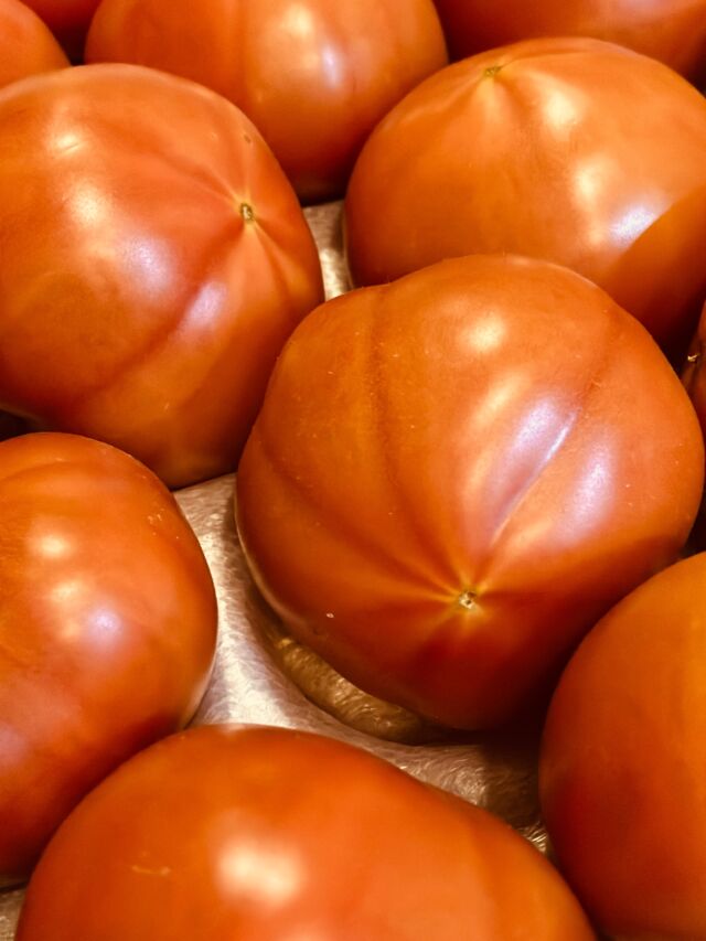 📞⚡️

福本シェフ、
今年もできたんでサンプル送ります🍅と
連絡がきて、今年のトマトが送られてきました。

とても信頼しているので、サンプルを送って頂かなくても美味しいのは分かっているんだけれど、
毎年違った旨さでやってくるトマトたち。

出来上がりの味の着地と使う料理人の顔を想像して作ってくれているように思います。

エネルギーに満ち溢れていることは、
画面越しにも伝わるかと💪

そして「サンプルを送ります」という言葉の裏には、今年の挑戦や試行錯誤、『去年とは違う』という作り手の想いも込められている気がします。

必ず美味しく仕上げます

皆様のご来店お待ちしております🫧

#大阪イタリアン #michelin  #gaultmillau #トマト #ピグレコ
