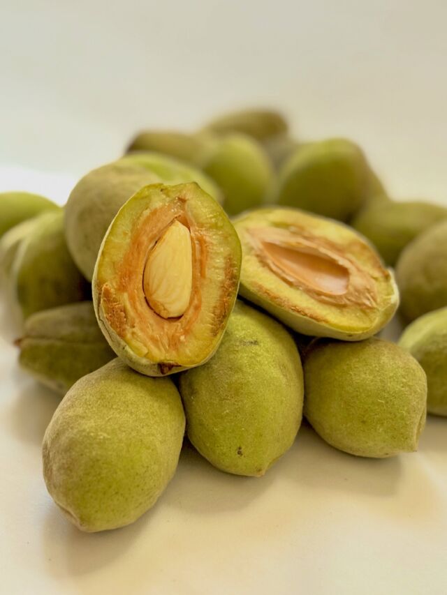 Fresh almonds 

Almonds grown from young trees in Pgreco’s own orchard.

The season has arrived once again, and we are delighted to share them with you.

In a world of constant convenience, we still believe in waiting for the seasons.

Pgrecoの畑で、苗から育ててきたアーモンド。

今年も皆さまにお召し上がりいただける季節を迎えました。

便利な時代だからこそ、季節を待つことを大切にしています。

#生アーモンド  #michelin #gaulmillau  #グレコ農園 #大阪イタリアンレストラン